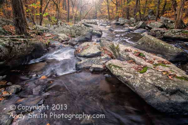 Looking DOw the Creek in the Fall